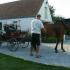 photo Les Colombages