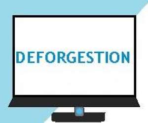 Deforgestion Deforgestion