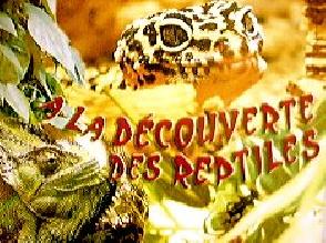 photo du L'ile Aux Serpents