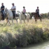 photo Le Haras Centre De Tourisme Equestre