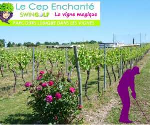 Le cep enchante Le cep enchante