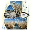 Ateliers SCRAPBOOKING et ou CARTERIE