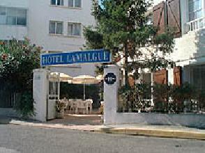 photo du H�tel Lamalgue