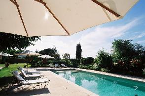 photo Sous L'olivier