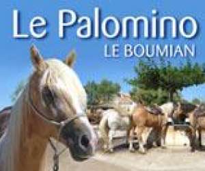 Le palomino (sarl) Le palomino (sarl)