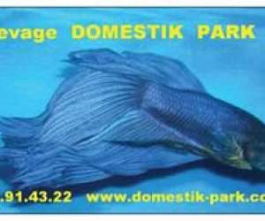 Elevage domestik park Elevage domestik park
