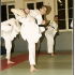 photo Grenoble Karate Club