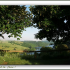 photo Camping De Mars