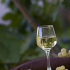 photo Cours De Cuisine Terre Gourmande