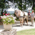 photo Camping La Ferme Des Poutiroux