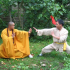 photo Stages De Kung Fu