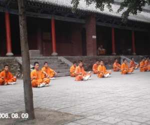photo Stages De Kung Fu