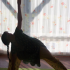 photo Association Reliance & Zenitude