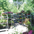 photo Jardinerie Du Lac Sud Environnement