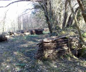photo Energie Paintball
