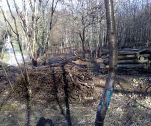 photo Energie Paintball