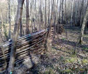 photo Energie Paintball