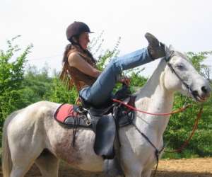 Le haras de kita Le haras de kita