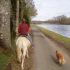 photo Le Haras De Kita