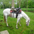 photo Le Haras De Kita