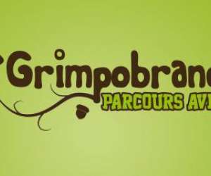 Grimpobranches Grimpobranches