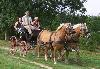 photo Les Attelages De Verzenay