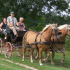 photo Les Attelages De Verzenay