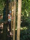 photo Le Ch�ne Perch�