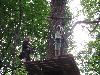 Visiter Le ch�ne perch�
