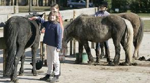 photo du Centre Equestre Des Boulingrins