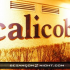 photo Calicoba le
