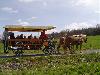 La ferme du pr� fleuri