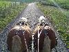 photo La Ferme Du Pr� Fleuri
