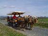 LA FERME DU PR� FLEURI