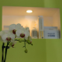photo La Coiffure By So