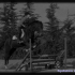 photo Centre �questre De Gannat