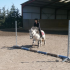 photo Centre �questre De Gannat
