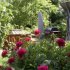 photo Le Champ Bouchon - Chambre D'h�tes