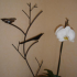 photo Centre De Naturopathie Christine Corderot