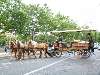 MARIAGE EN CALECHE
