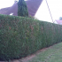 photo S.a.r.l Nous Memes Services