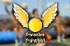 Paradise paintball