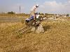 photo Mx Land