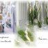 photo Organisateur De Mariage