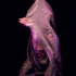photo Danse Orientale Paris