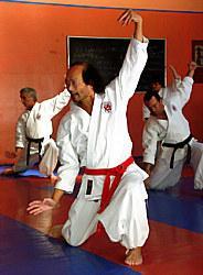 NANBUDO A PARIS 20EME ARRONDISSEMENT | Arts martiaux ? Paris 20eme Arrondissement Clubs de sport
