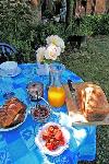 photo Le Jardin Bleu
