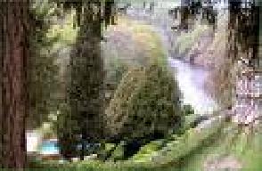 photo Le Moulin Noy�**