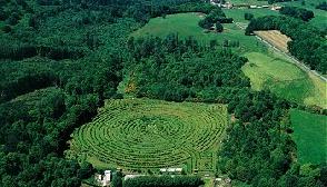 photo Le Labyrinthe G�ant Du Massif Forestier De Chabri�re