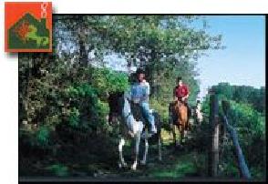 photo Centre Equestre Les Hauts De Blond